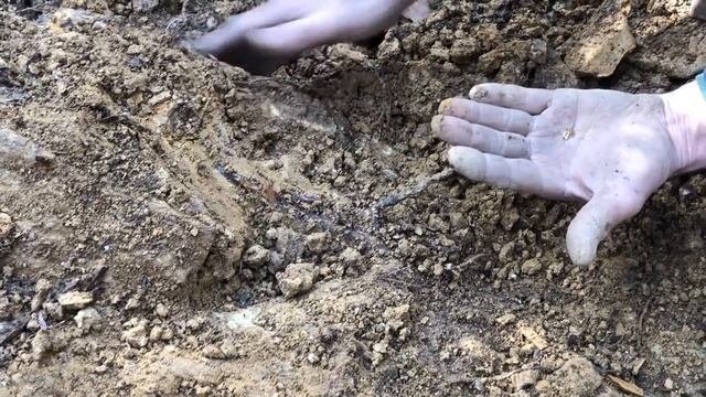 PART 1 | Detecting For Gold In The Victorian Goldfields | Minelab GPX5000 | Gold Nuggets