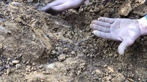 PART 1 | Detecting for Gold in the Victorian Goldfields | Minelab GPX5000 | Gold Nuggets