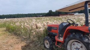 Работа мульчера на японском минитракторе