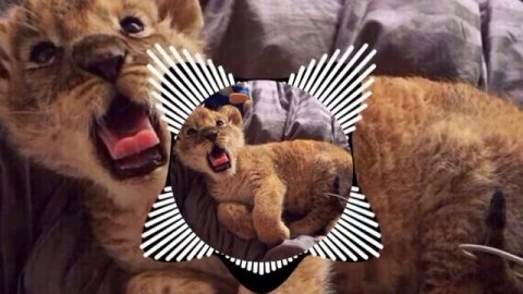 BASS-MUZUKA#bassmusic #carmusic bass#ремикс2022