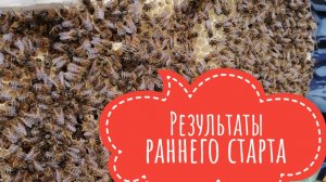результаты раннего старта