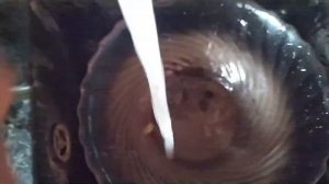 267 МОЧЕНЫЕ ЯБЛОКИ - очень простой рецепт вкусных моченых яблок на зиму! Художник в деревне мочит