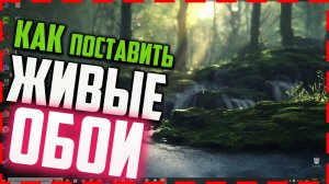 Как поставить ЖИВЫЕ ОБОИ на ПК в Windows 10