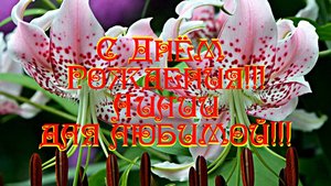 С Днём Рождения!!! Лилии для любимой!!!