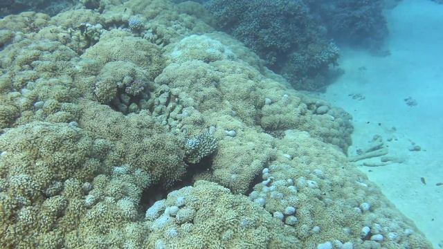 Огромный "пушистый ковер". смотреть онлайн