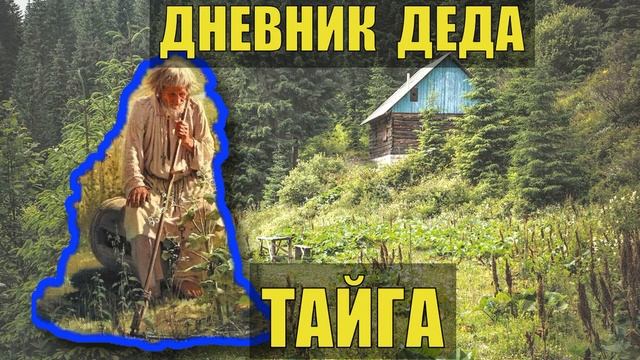 Дневник деда. КАЛЯНЫЧ промысел Тайга. КАЛЯНЫЧ рассказы о тайге. Дед КАЛЯНЫЧ аудиокниги. Таежная избушка в лесу в Миассе.