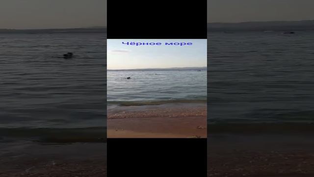 Чёрное море