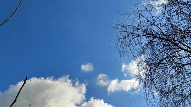 Как реагировать на предательство? Что означает слово предательство в целом?