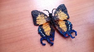 Бабочка Махаон