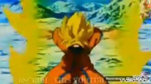 Goku vs broly (race)