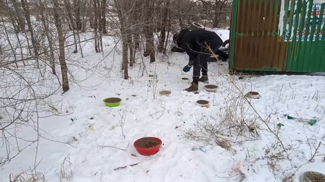 Что бы согреть души тех о которых даже никто и не думает!