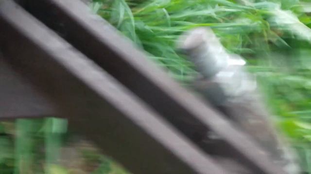 2022.08.05 сорт Метеор, начало. смотреть онлайн