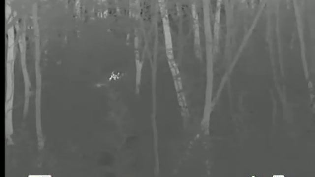 Csak a Rókák. Hőkamerás felvétel смотреть онлайн