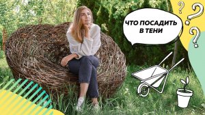 Что посадить в тени? | Растения для тени | Теневыносливые растения | Теневой цветник