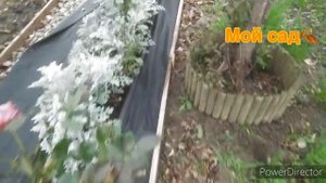 Воплощаю идеи / Доделала ещё одну клумбу / Идеи для сада