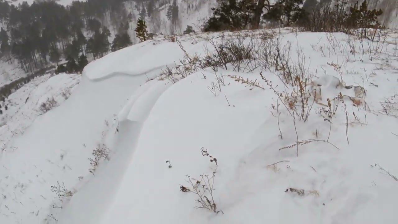 30 сентября 2023 г. смотреть онлайн