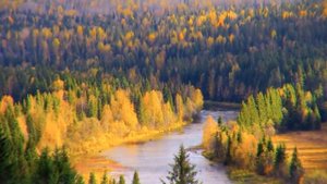 Лети, перышко - Ирина Леонова