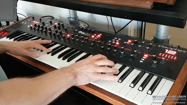 SEQUENTIAL PROPHET-12 - Sounds, Patches & Presets | Synth Demo смотреть онлайн