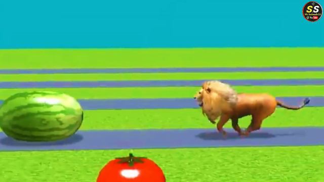 Fountain crossing with zombie tyrannosaurus, tiger, elephant, gorilla, lion, | Cartoon Animation смотреть онлайн