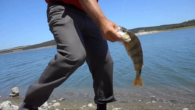 Ловля-Судака. смотреть онлайн