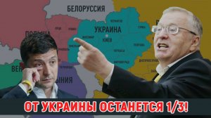 ЖИРИНОВСКИЙ: НАДО БЫЛО ВАС ПИНКАМИ ГНАТЬ...