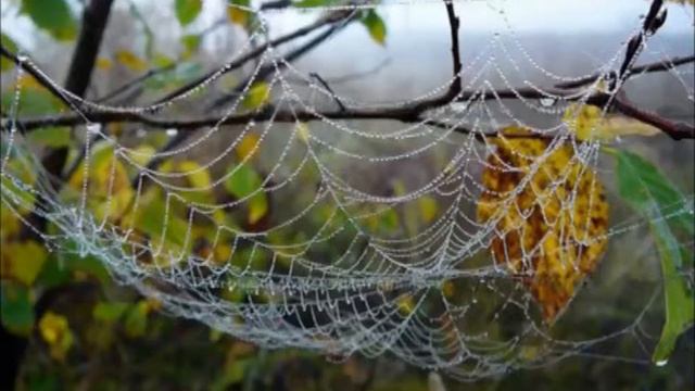 Песня про Лагерный сад Томск