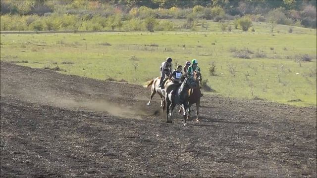 Лысогорская | Скачка для лошадей Английской чистокровной породы дистанция 2400м смотреть онлайн
