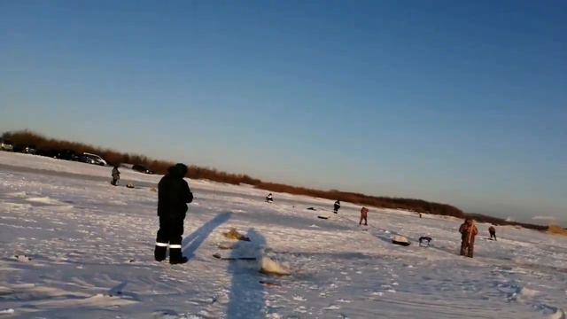 Рыбалка на Амуре хапуги и барабанщики! 21 ноября. смотреть онлайн
