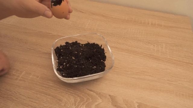 ЯЙЦО + АПЕЛЬСИН ? еще больше апельсинов (удивительный ТРЮК) ? смотреть онлайн