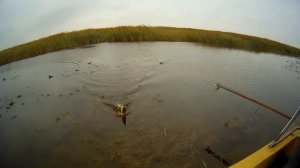 Осенняя щука на лиманах или "зубастый" спиннинг.