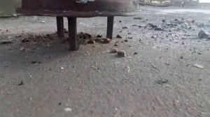 мангал-печка под казан из двух автомобильных дисков за 2 часа работы.