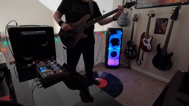 "Paradise" Within Temptation/Cricketbug Sessions Schecter SLS Elite-4 Bass Cover #withintemptation