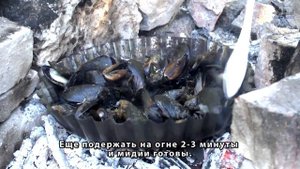 Как пожарить мидии на костре / how to cook mussels