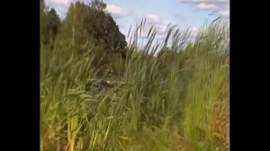 Болотоходная лодка с мотором 27 л/с