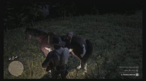 Как достать фонарь Red Dead Redemption 2?