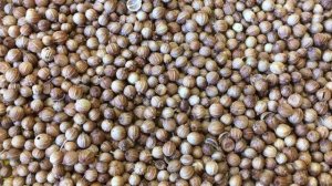 ? АДЖИКА, КОТОРУЮ ВЫ ПОЛЮБИТЕ | РЕЦЕПТ ОСТРОЙ АДЖИКИ