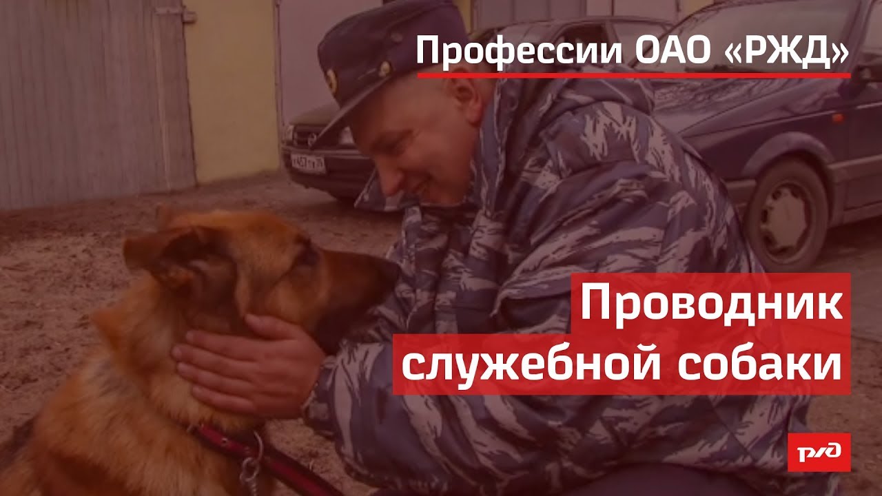 Проводник служебной собаки