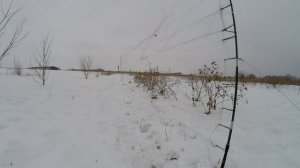 Ловля певчих птиц. Реполовы и всякая всячина.