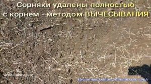 ? Сенсация в почвообработке! ?Лущение стерни Бороной ротационной кольцевой БРК 8. Алтайский Край.