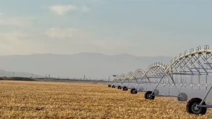 Фронтальная дождевальная машина AFKO