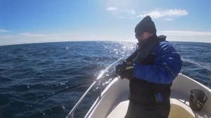 Крупная треска. Трофейная морская рыбалка в Норвегии (часть 1) Треска, сайда, палтус.