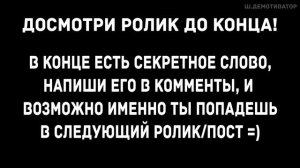МУД ЛУНТИК ДЕМОТИВАТОР 40