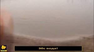 Приколы!! Она швыряется котом! и другие случаи