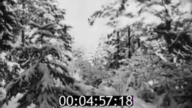 fs21513 смотреть онлайн