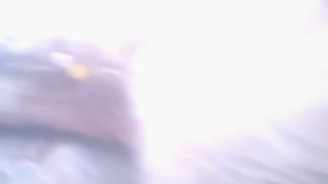 Чернівці. Потруїли собак. 23.03.2015р. смотреть онлайн