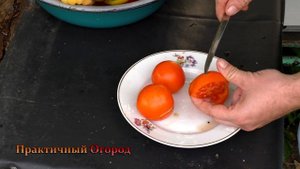 Самые вкусные сорта томатов в теплице. Лучшие сорта томатов.