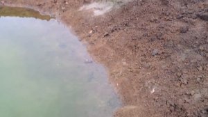 Создание пруда размером в 10 соток на дачном участке. Часть 6 (20.09.2016)