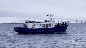 Киты заходят в бухту Териберки Мурманской области #мурманск #киты #видеосъемка