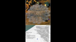 Салфетки спицами: фото и схемы. Подборка № 79 [Вязание. 1000 и 1 узор]