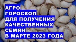 Агрогороскоп для получения качественных семян овощных и цветочных растений в марте 2023 года